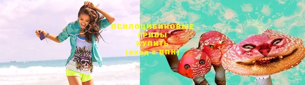 индика Балахна