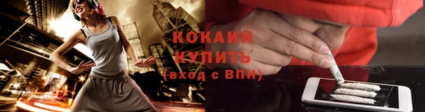 индика Балахна