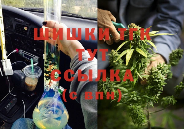 индика Балахна