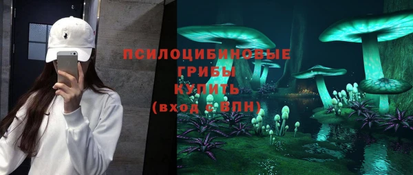 индика Балахна